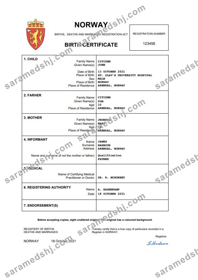 Norway birth certificate Word and PDF template